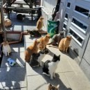 펫사랑약국 이미지