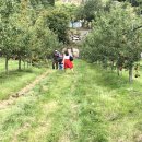 정명호농장 이미지