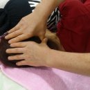 기혈경락지압원 이미지