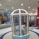 시소동물병원 | 추억의 빙글빙글 코코몽 키즈랜드