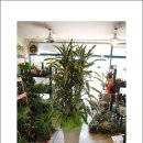 (주)해피나무 이미지