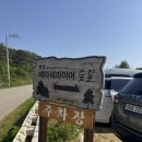 메타세콰이어길 | 🍜영덕 여행 – 보배네 골목 짬뽕 먹고 메타세콰이어 숲길 산책까지! (내돈내산 후기)