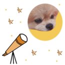 천천숯불갈비 이미지