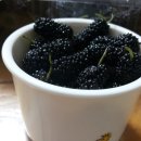 박순옥농장 이미지