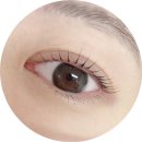 뷰티하라 | 눈 1.5배 커지는 듀얼펌 맛집 | 하라뷰티샵 신당역 속눈썹펌 후기