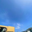 스타벅스 사하장림DT점 | 넓고 여유로운 분위기, 스타벅스 사하장림DT점 후기