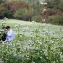 추정1리 이미지