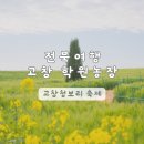 대박농장 | 전북 여행 고창 | 고창 청보리밭 축제 정보 총정리 학원농장 유채꽃 2026 실시간 후기