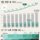 작년 1인 가구 비중 35.5% 이미지