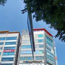 남부가정의학과의원 네이버블로그