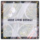 서울튼튼정형외과의원 이미지