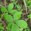 유곡농장 이미지