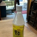 조차모주