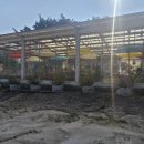 해우소(바다에서키운소) | 강원도 고성 여행, 바다 말고 이색 핫플 찾았다 — 죽왕면 도넛팜 후기