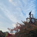 단풍 | 일본 교토 여행 기요미즈데라 청수사 단풍 후기