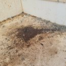 방촌로(3) 이미지