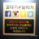 안하농장 이미지