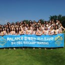 미가헤어센스