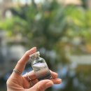 (주)레이케어 | 옥시티컬 드록시드 키트 리얼 사용기｜발리 여행 피부를 지켜준 ‘옥’ 집중케어 루틴