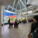 아일랜드 당구클럽 이미지