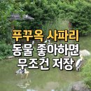 푸꾸옥 빈펄사파리 동물원 주트램 기린식당 안가면 아쉽