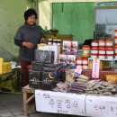 녹진무궁화동산 | 보배섬 진도여행 울돌목 물살체험장 이순신명량대첩승전광장 전망대 진도대교 토요장터 전남 진도 관광