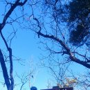 송사리 천지갑산 주차장 이미지