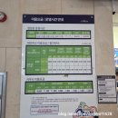 700 | 평창 알펜시아 오션700, 오픈런해서 폐장까지 놀다온 후기