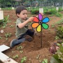 장화농장 이미지