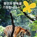 베레쉬트