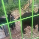 바람골농장 이미지