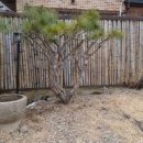 용당스테이 이미지