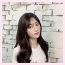 노블미용실 이미지