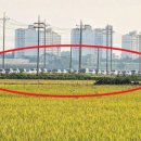 연산농로 이미지