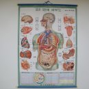 에스엠sm간호학원
