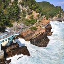 홈 강릉 가볼만한곳 "밤에도 열리니까 더 특별해요"… 동해 최초의 야간 개장 탐방로 이미지