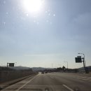 신안 김밥나라 앞 이미지