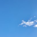 하서방광천토굴새우젓 이미지