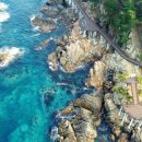 초곡1천 이미지