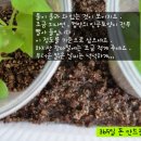 식탁위의텃밭 이미지