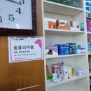 요나약국 이미지