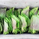 축령산깻잎