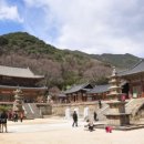 매화랜드 이미지