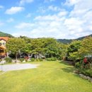 스테이산들펜션 계곡 수영장 단체 가족 이미지