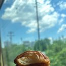 찌르레기 화장실 | 후쿠오카 하카타역에서 가성비 료칸 유후인 바이엔 가든 리조트 가는길과 객실 솔직 후기