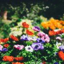 경인한의원 이미지