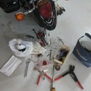 로시난테 이미지