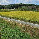 정당2리 마을회관 이미지