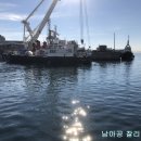 비타민민박 이미지