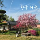 왕궁다원 | 🌿 익산<왕궁 다원> 방문 후기